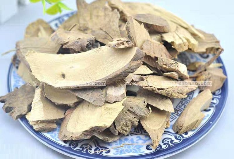 飞龙掌血中药材