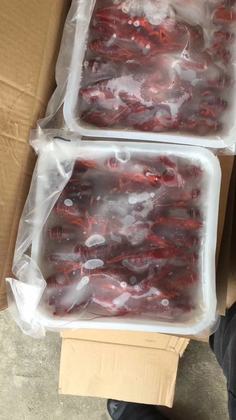 虾尾，冻虾