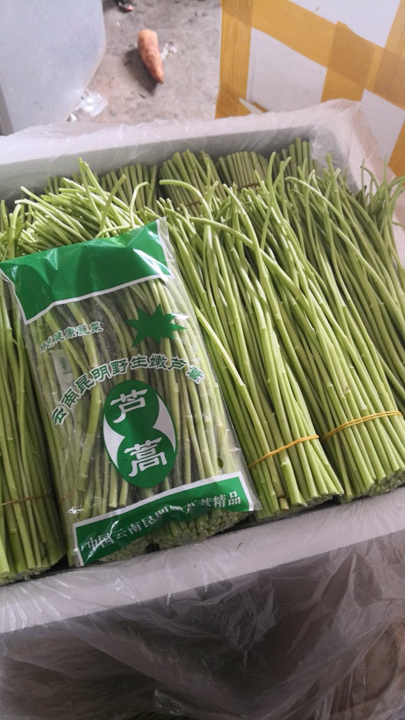 芦篙