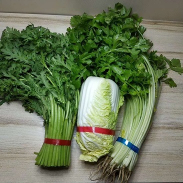 蔬菜扎把机