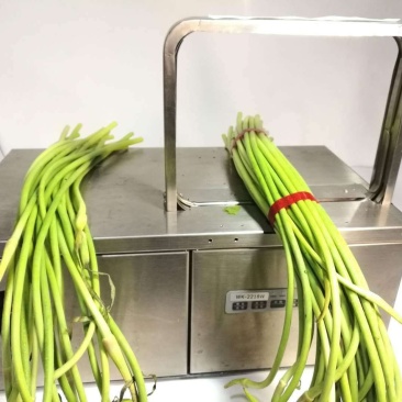 蔬菜扎把机