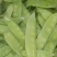 豌豆1.7一斤每天有十多吨