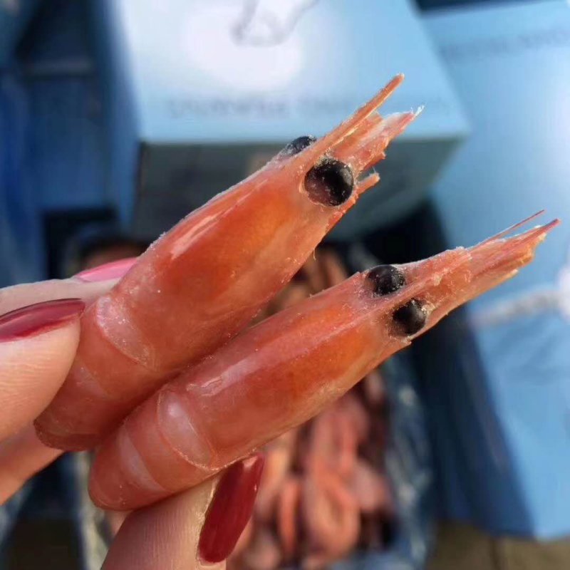 北极虾