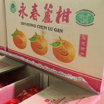 芦柑柑桔