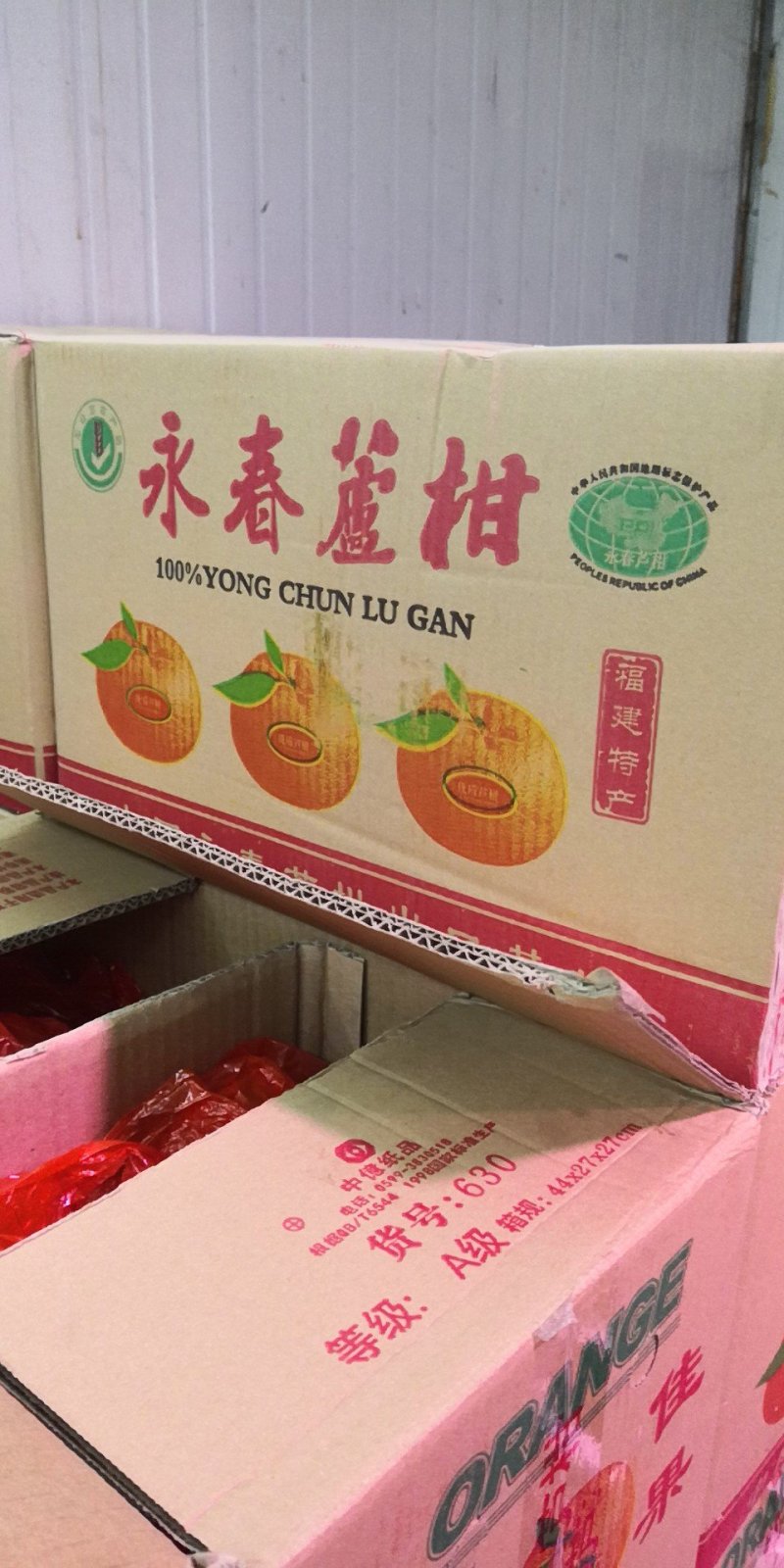 芦柑柑桔