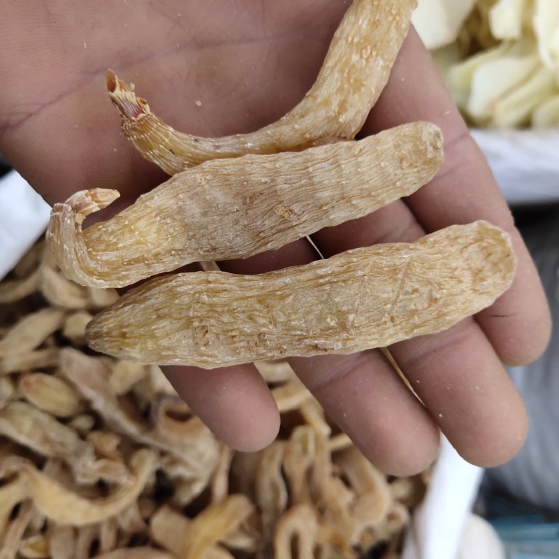 天麻云南小红天麻籽1000g起批关书药业专注品质