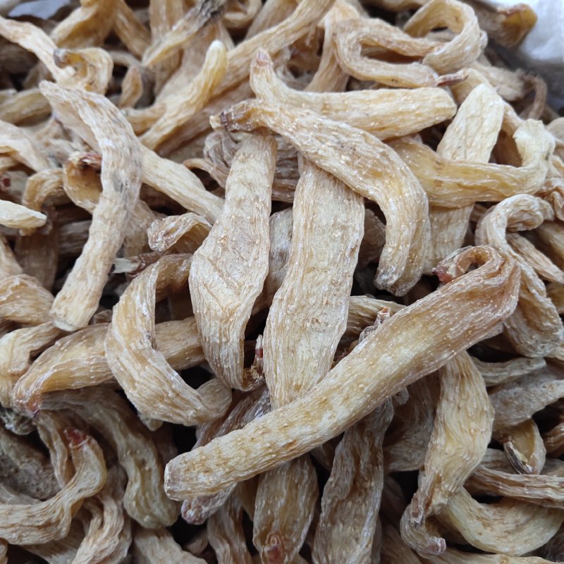 天麻云南小红天麻籽1000g起批关书药业专注品质