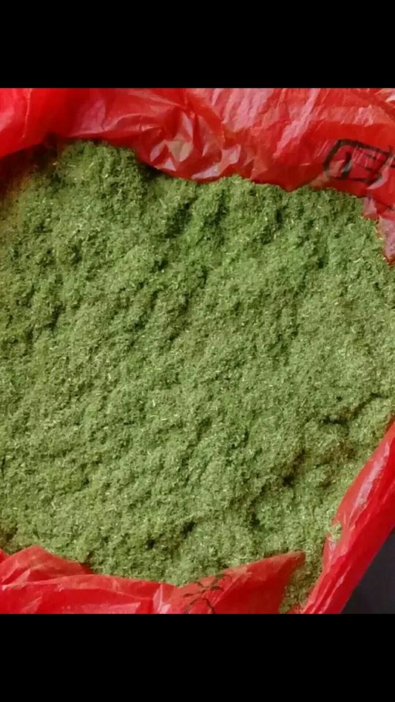 松针粉是养殖业的无抗绿色饲料原料，也是经销商的摇钱树