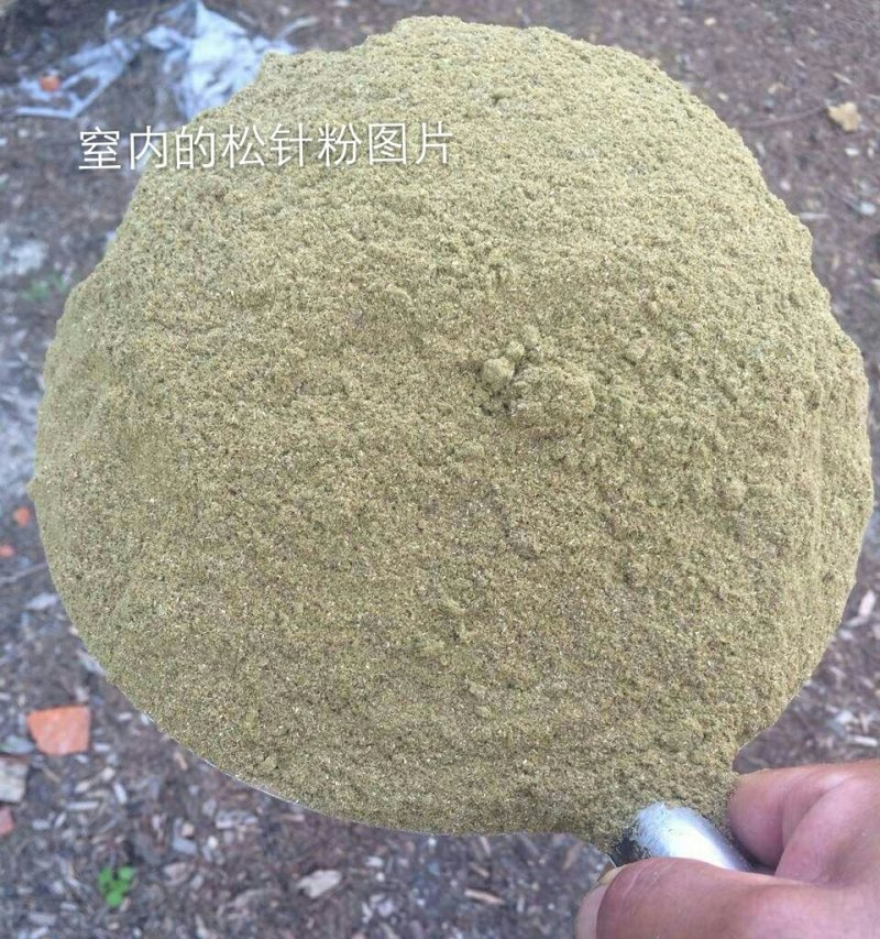 松针粉是养殖业的无抗绿色饲料原料，也是经销商的摇钱树