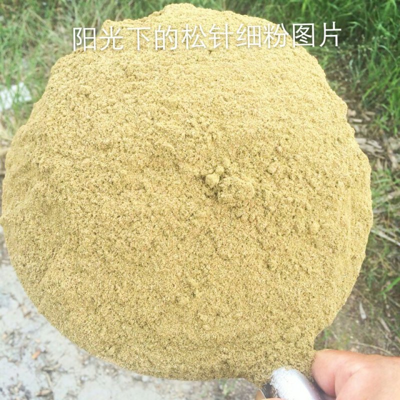 松针粉是养殖业的无抗绿色饲料原料，也是经销商的摇钱树
