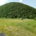山林土地美景