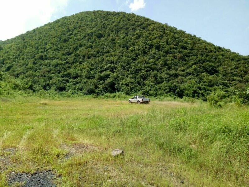 山林土地美景