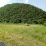 荒山免费提供养殖鸡鹅