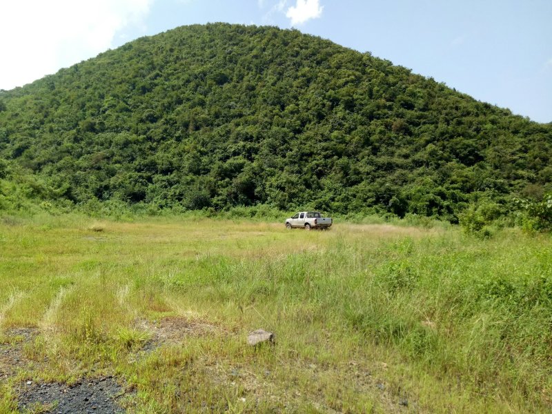 荒山免费提供养殖鸡鹅