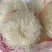 豌豆粉丝。农副食品，粮油产品粉丝。