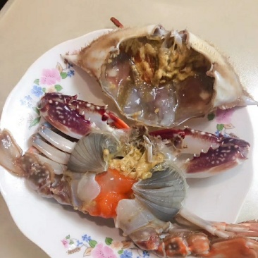 三点蟹