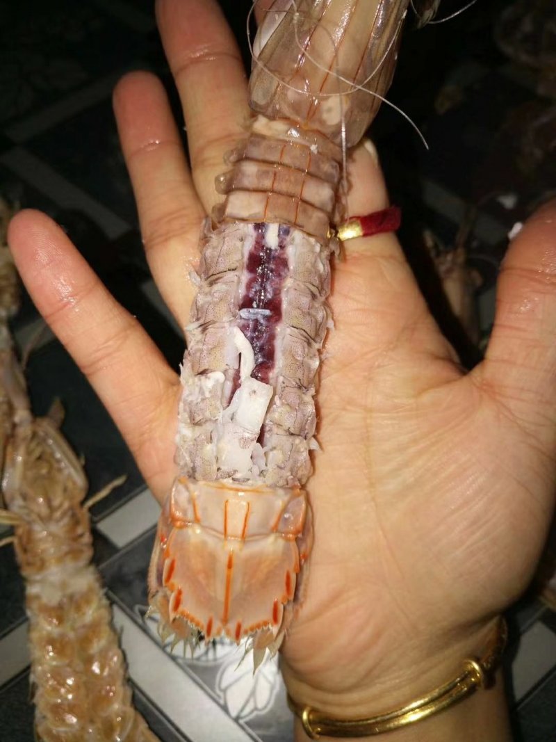 皮皮虾，爬虾