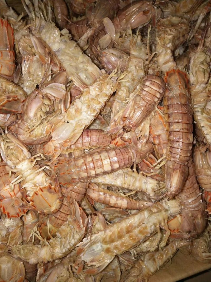 皮皮虾，爬虾