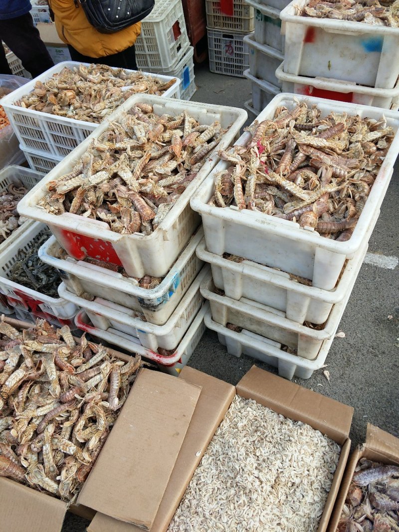 皮皮虾，爬虾