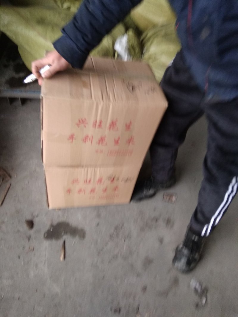 纯手扒，2019年新花育25，发芽率高，不分瓣不开叶
