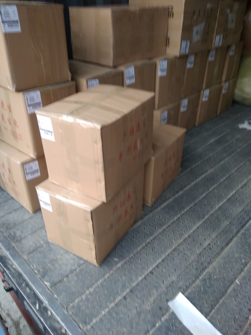 纯手扒，2019年新花育25，发芽率高，不分瓣不开叶