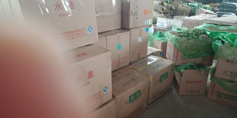 滑县香菜，万亩基地供应，货源充足，量大从优，欢迎来电咨询