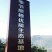 脐橙