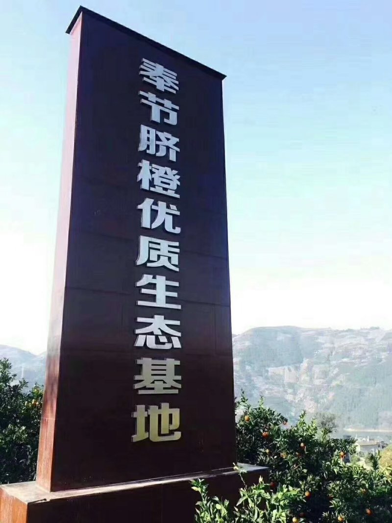 脐橙