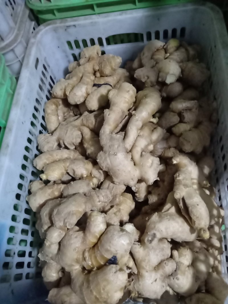 老姜