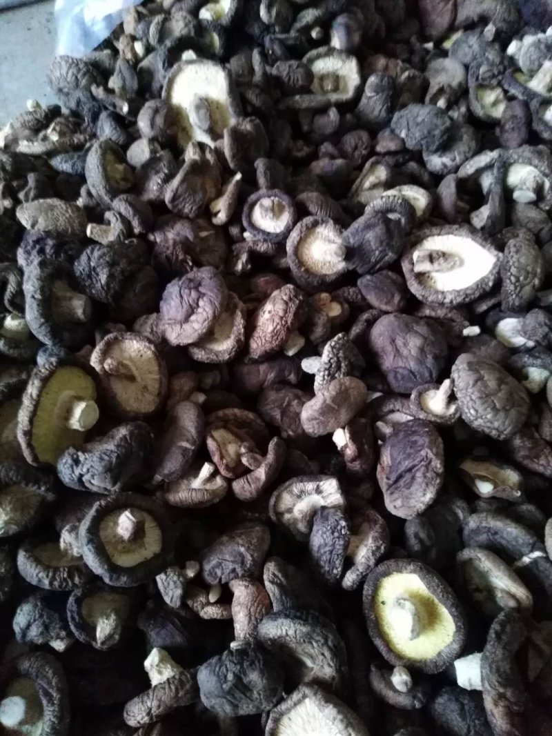 香菇干货冬菇剪脚香菇