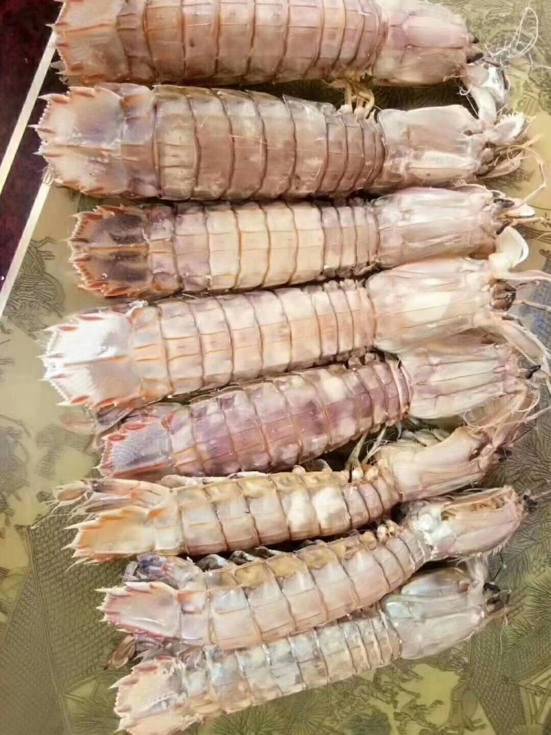 皮皮虾
