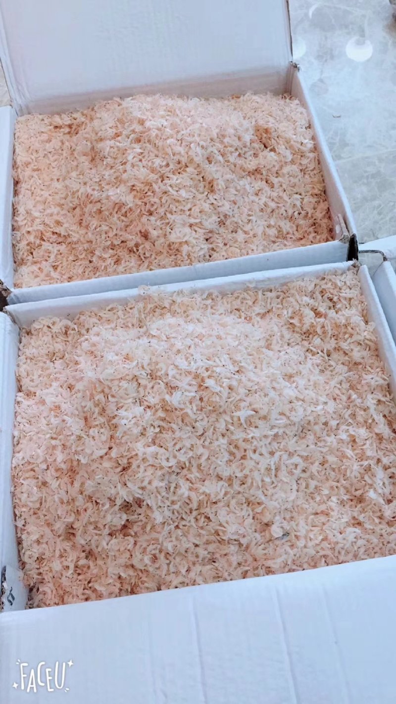 虾皮，优质货源，咸淡都有，干货！海产，山东渤海
