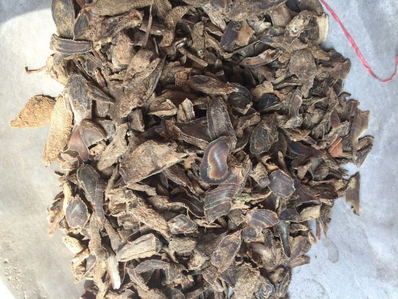 温郁金郁金片