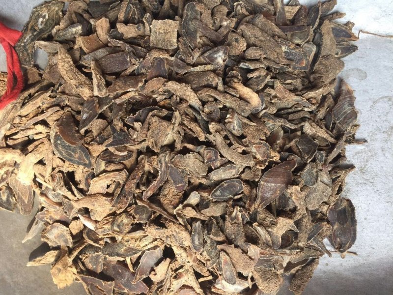 温郁金郁金片