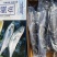 燕鲅鲅鱼一盒5斤带礼盒