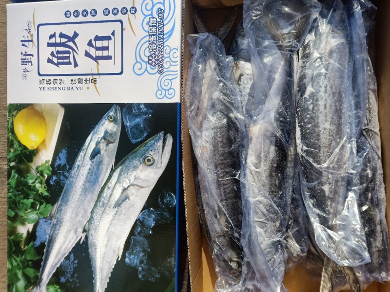 燕鲅鲅鱼一盒5斤带礼盒