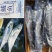 燕鲅鲅鱼一盒5斤带礼盒