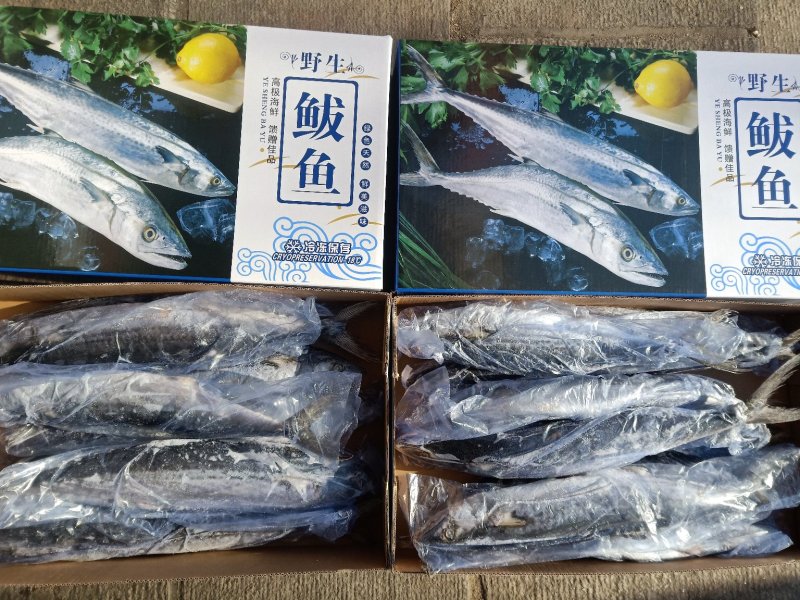 燕鲅鲅鱼一盒5斤带礼盒