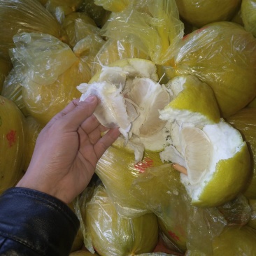 广西融水糯米柚