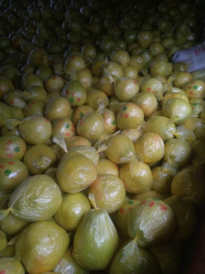 广西融水糯米柚