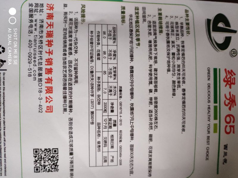 绿秀65西兰花种子早熟颜色鲜绿蕾粒小而均匀