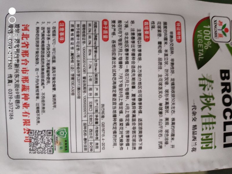 西兰花种子春秋佳丽西兰花种子