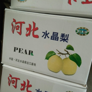 赵县雪花梨质量好，价格合理！