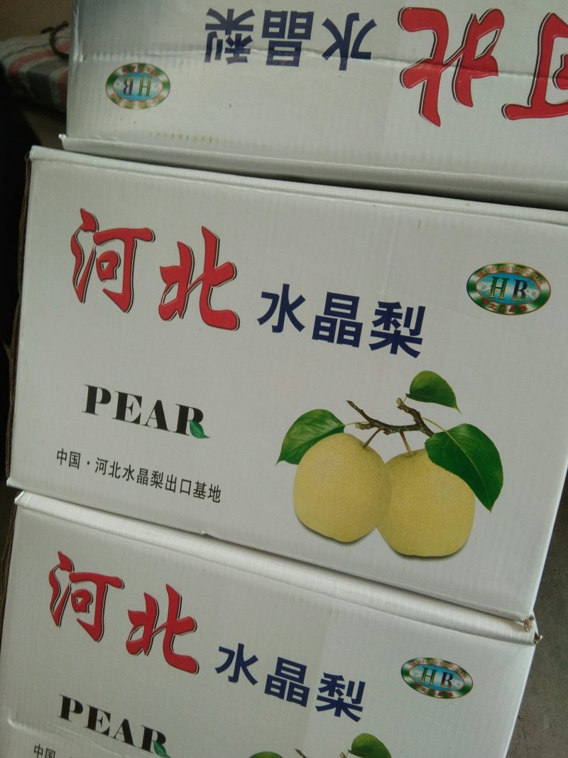 赵县雪花梨质量好，价格合理！