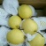 赵县雪花梨质量好，价格合理！
