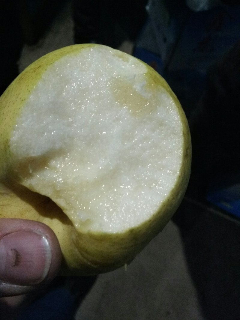 赵县雪花梨质量好，价格合理！