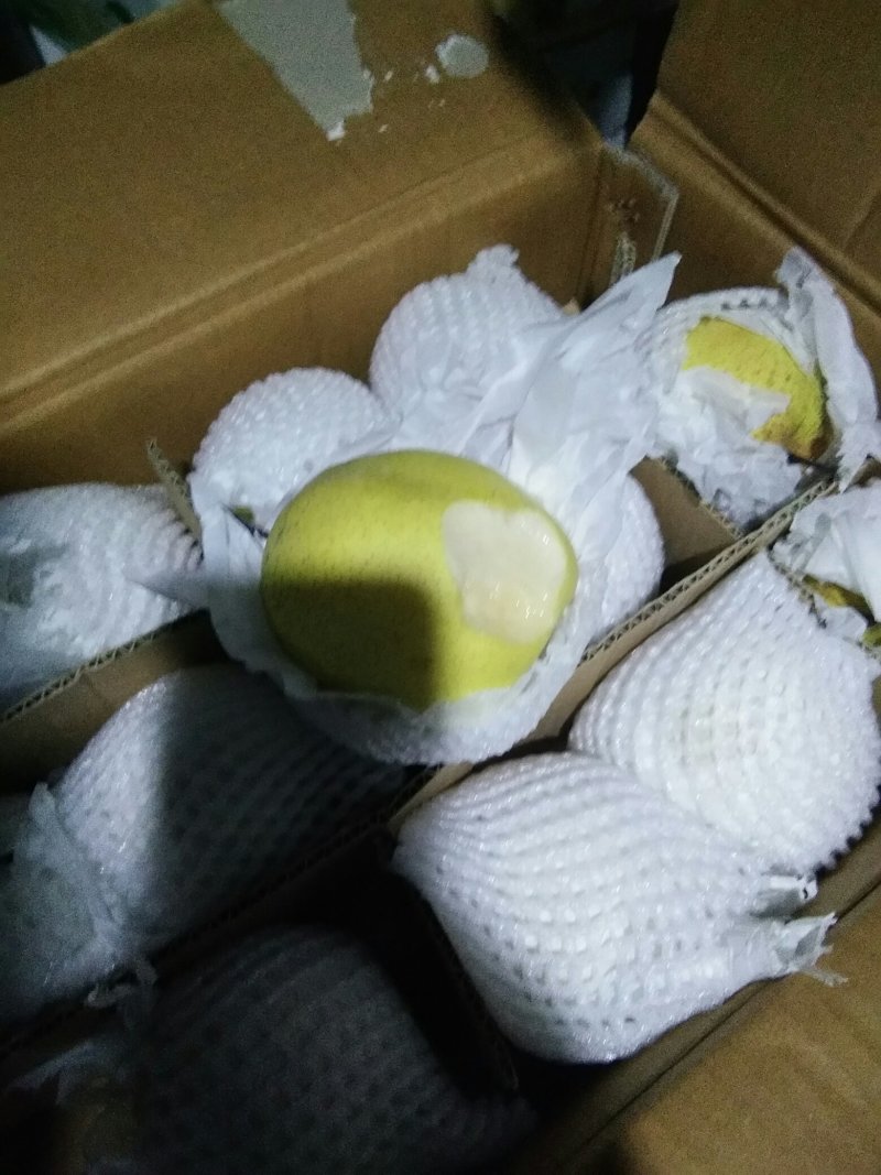 赵县雪花梨质量好，价格合理！