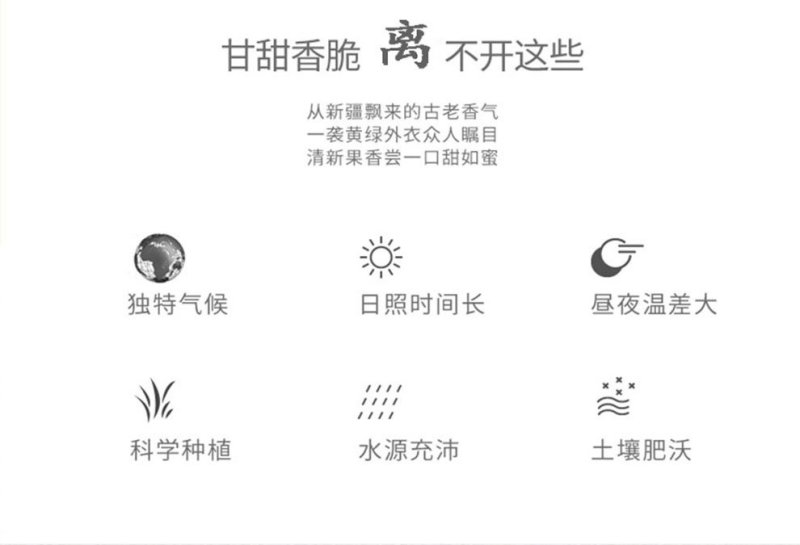 新疆纸皮奶香原味巴旦木，支持拿样