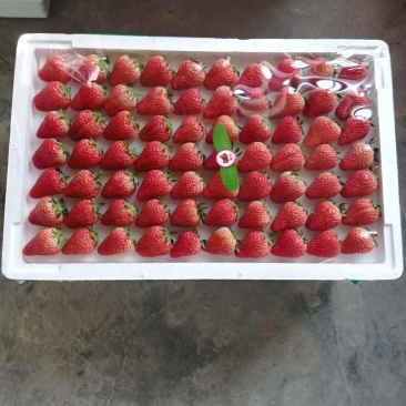 甜宝草莓30~40克