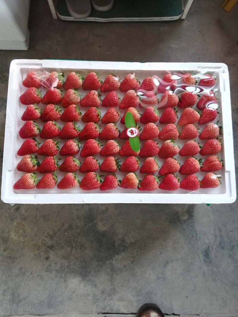 甜宝草莓30~40克
